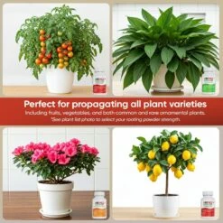 Hormex Rooting Powder Pack – #1, #3 & #8 IBA Cloning Kit For Softwood To Semi-Hardwood Cuttings -Ed's plant shop hormex rooting powder pack 1 3 8 iba cloning kit for softwood to semi hardwood cuttings 2778636