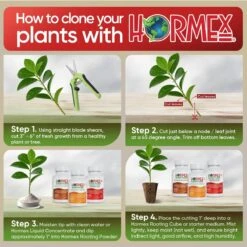 Hormex Rooting Powder Pack – #3, #8 & #16 High-Strength Cloning Kit For Semi-Softwood To Hardwood Cuttings -Ed's plant shop hormex rooting powder pack 3 8 16 high strength cloning kit for semi softwood to hardwood cuttings 8736835