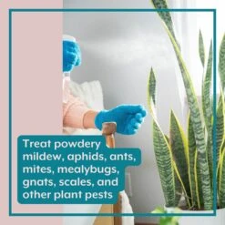 Houseplant DEFENSE Bundle | Natural Pest Control + Gloves + Spray Bottle -Ed's plant shop houseplant defense bundle natural pest control gloves spray bottle 613235