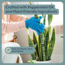 Instant Plant Food- Complete Plant Care Bundle For HOUSEPLANTS -Ed's plant shop instant plant food complete plant care bundle for houseplants 108074