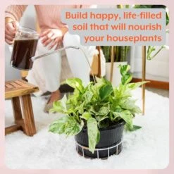 Instant Plant Food Houseplant GROW Bundle -Ed's plant shop instant plant food houseplant grow bundle 681387