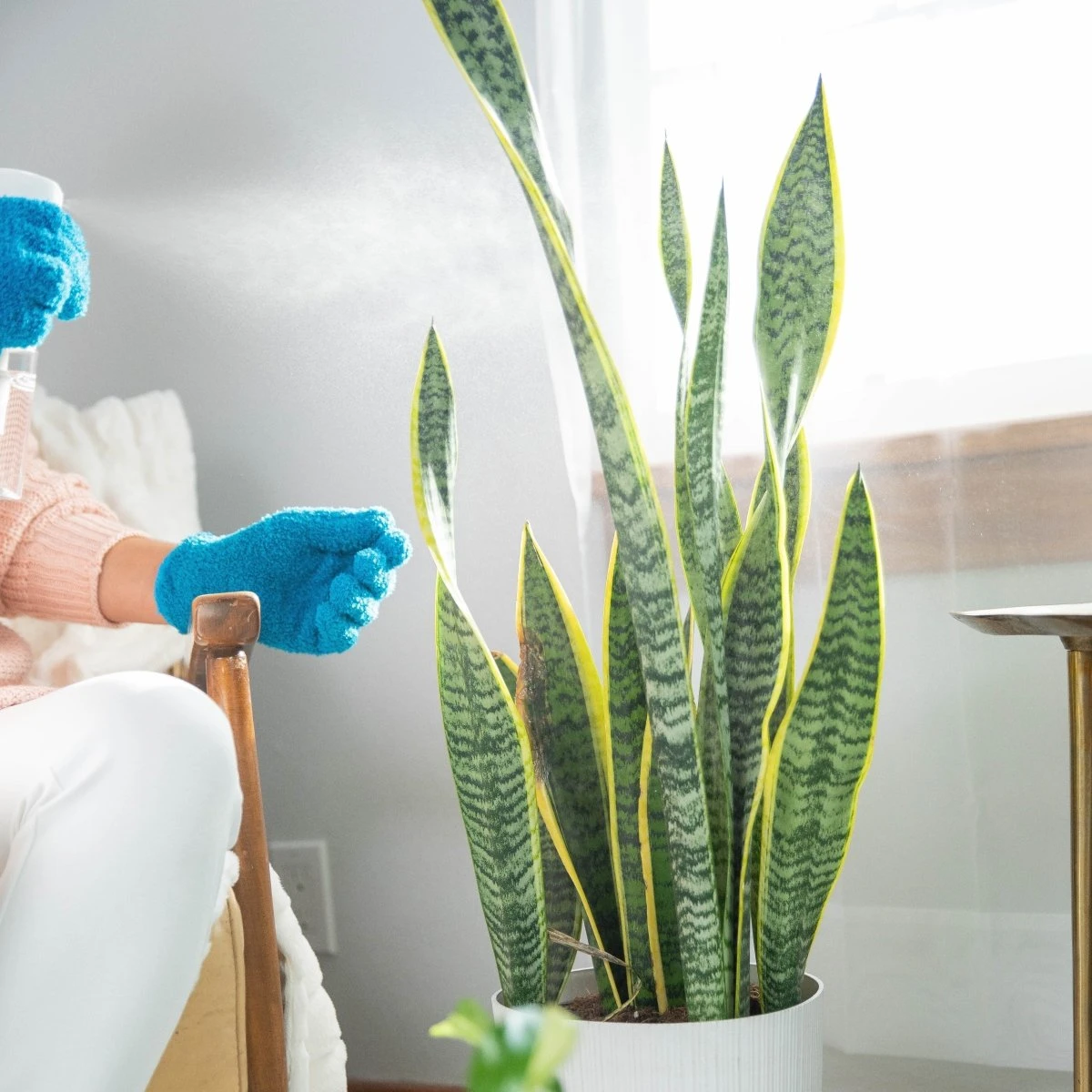 Instant Plant Protection 4-Tablet Pouch Bundle (2 Pack) 7 Instant Plant Protection 4-Tablet Pouch Bundle (2 Pack) - Image 5