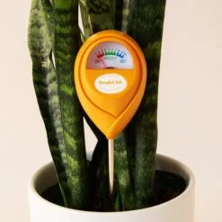 Jungle Club Soil Moisture Meter | Accurate, Battery-Free Plant Care -Ed's plant shop jungle club soil moisture meter accurate battery free plant care 440085