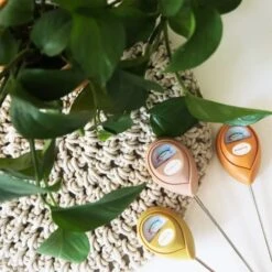 Jungle Club Soil Moisture Meter | Accurate, Battery-Free Plant Care -Ed's plant shop jungle club soil moisture meter accurate battery free plant care 892057