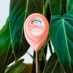 Jungle Club Soil Moisture Meter | Accurate, Battery-Free Plant Care -Ed's plant shop jungle club soil moisture meter accurate battery free plant care 900674