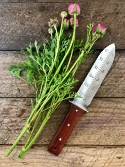 Katana Hori Hori Garden Tool – The Ultimate Gardening Knife 16 Katana Hori Hori Garden Tool – The Ultimate Gardening Knife -Ed's plant shop katana hori hori garden tool the ultimate gardening knife 579658