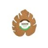 Kostr™ Double‑Sided Leaf‑Shaped Plant Coasters | Eco‑Friendly Home Decor -Ed's plant shop kostr double sided leaf shaped plant pot coaster cork pineapple leather 952824