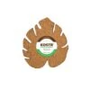 Kostr – The Sustainable Plant Pot Coaster- Monstera Leaf -Ed's plant shop kostr the sustainable plant pot coaster monstera leaf 958858
