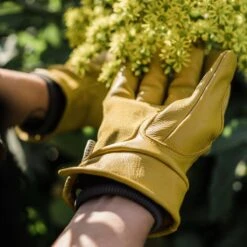 Barebones Kunar Glove: Premium All-Purpose Work Glove: Natural/Yellow -Ed's plant shop kunar glove premium all purpose work glove naturalyellow 874797