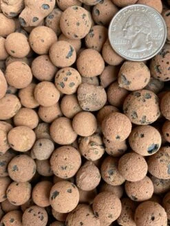 LECA Balls – Lightweight Expanded Clay Aggregate For Propagation & Drainage -Ed's plant shop leca balls 555140