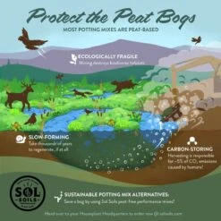 LECA Balls – Lightweight Expanded Clay Aggregate For Propagation & Drainage -Ed's plant shop leca balls 642340