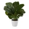 Lifelike 11-in Faux Fiddle Leaf Fig – Perfect Indoor Greenery -Ed's plant shop lifelike 11 faux fiddle leaf fig perfect indoor greenery 276869