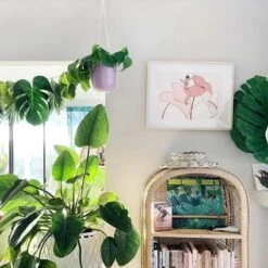 Loop Hanging Planter – Indigo | Leak-Proof, 360° Drainage & Deep Color Accent 8 Loop Hanging Planter – Indigo | Leak-Proof, 360° Drainage & Deep Color Accent -Ed's plant shop loop hanging planter 549522