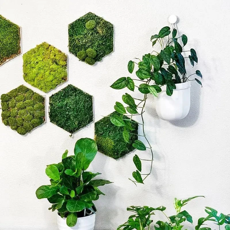 Loop Hanging Planter – Indigo | Leak-Proof, 360° Drainage & Deep Color Accent 4 Loop Hanging Planter – Indigo | Leak-Proof, 360° Drainage & Deep Color Accent - Image 2