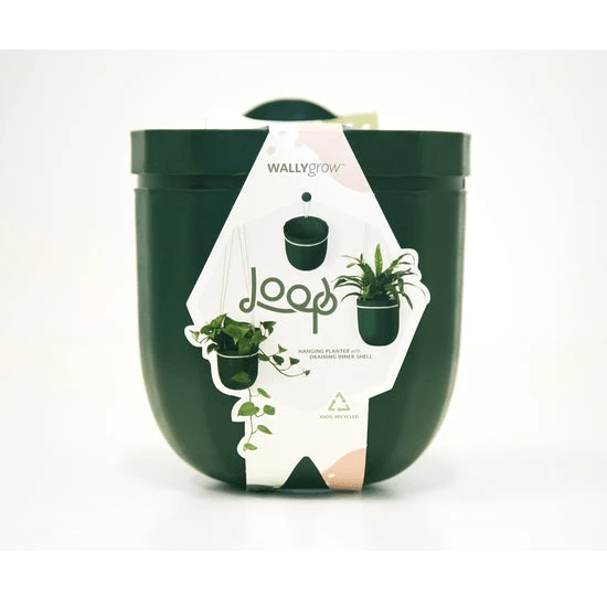 Loop Hanging Planter In Forest – Leak-Proof, 360° Drainage Hanging Pot 4 Loop Hanging Planter In Forest – Leak-Proof, 360° Drainage Hanging Pot - Image 2