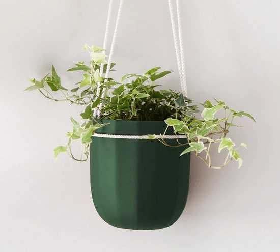 Loop Hanging Planter In Forest – Leak-Proof, 360° Drainage Hanging Pot 8 Loop Hanging Planter In Forest – Leak-Proof, 360° Drainage Hanging Pot - Image 6