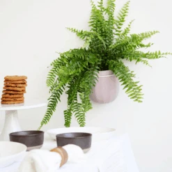 Loop Hanging Planter – Lavender (Self-Watering, Leak-Proof Design) -Ed's plant shop loop hanging planter lavender self watering leak proof design 685484