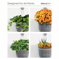 Loop Hanging Planter – Mustard | Self-Watering, Leak-Proof & Bold -Ed's plant shop loop hanging planter mustard self watering leak proof bold 348581