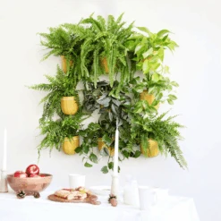 Loop Hanging Planter – Mustard | Self-Watering, Leak-Proof & Bold -Ed's plant shop loop hanging planter mustard self watering leak proof bold 479677