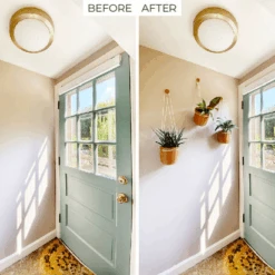 Loop Hanging Planter – Mustard | Self-Watering, Leak-Proof & Bold -Ed's plant shop loop hanging planter mustard self watering leak proof bold 586089