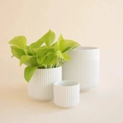 Lucy Planter | White -Ed's plant shop lucy planter white 549538