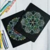 Mandala Dotting Kit -Ed's plant shop mandala dotting kit 377326