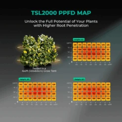 Mars Hydro TSL 2000 300W Dimmable Full Spectrum LED Grow Light | High-Efficiency Lighting 16 Mars Hydro TSL 2000 300W Dimmable Full Spectrum LED Grow Light | High-Efficiency Lighting -Ed's plant shop mars hydro tsl 2000 300w dimmable full spectrum led grow light high efficiency lighting 320694