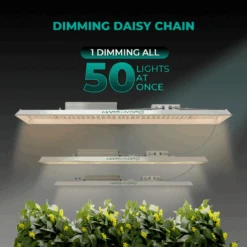 Mars Hydro TSL 2000 300W Dimmable Full Spectrum LED Grow Light | High-Efficiency Lighting 20 Mars Hydro TSL 2000 300W Dimmable Full Spectrum LED Grow Light | High-Efficiency Lighting -Ed's plant shop mars hydro tsl 2000 300w dimmable full spectrum led grow light high efficiency lighting 400992