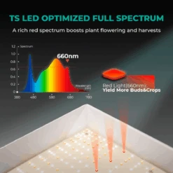 Mars Hydro TSL 2000 300W Dimmable Full Spectrum LED Grow Light | High-Efficiency Lighting 18 Mars Hydro TSL 2000 300W Dimmable Full Spectrum LED Grow Light | High-Efficiency Lighting -Ed's plant shop mars hydro tsl 2000 300w dimmable full spectrum led grow light high efficiency lighting 646896
