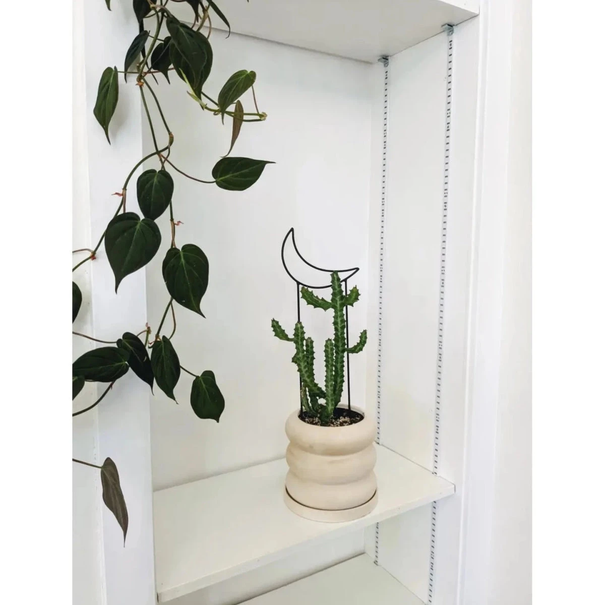 Metal Crescent Moon Trellis 4 Metal Crescent Moon Trellis - Image 2