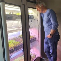 Microgreens & Herbs 3-Tier Walden White LED Grow Tent Kit -Ed's plant shop microgreens herbs 3 tier walden white led grow tent kit 801008