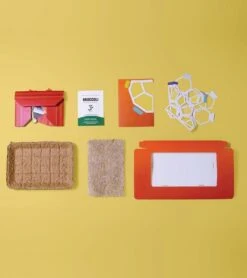 Microgreens Pop-Up Kit -Ed's plant shop microgreens pop up kit 413964