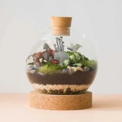 Mini Mushrooms- Terrarium Decor - Steel -Ed's plant shop mini mushrooms terrarium decor steel 984944