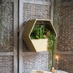Modern Gold Hexagon Hanging Planter -Ed's plant shop modern gold hexagon hanging planter 152398
