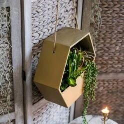 Modern Gold Hexagon Hanging Planter -Ed's plant shop modern gold hexagon hanging planter 645637