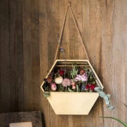 Modern Gold Hexagon Hanging Planter -Ed's plant shop modern gold hexagon hanging planter 666821