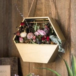 Modern Gold Hexagon Hanging Planter -Ed's plant shop modern gold hexagon hanging planter 943103
