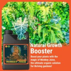 Monkey Juice | Increases Root Health And Nutrient Absorption -Ed's plant shop monkey juice increases root health and nutrient absorption 646366