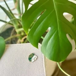 Monstera Leaf Pin -Ed's plant shop monstera leaf pin 684391