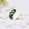 Monstera Leaf Pin
