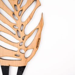 Monstrella - Monstera Plant Support & Trellis -Ed's plant shop monstrella monstera plant support trellis 226290