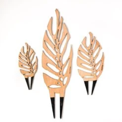 Monstrella - Monstera Plant Support & Trellis -Ed's plant shop monstrella monstera plant support trellis 335890