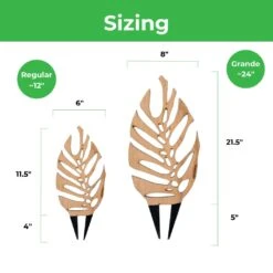 Monstrella - Monstera Plant Support & Trellis -Ed's plant shop monstrella monstera plant support trellis 807133