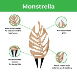 Monstrella - Monstera Plant Support & Trellis -Ed's plant shop monstrella monstera plant support trellis 834491