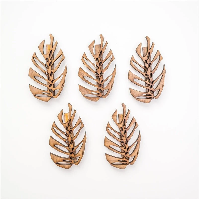 Monstrella - Wall Mounted Plant Support For Climbing Vines 16 Monstrella - Wall Mounted Plant Support For Climbing Vines - Image 14