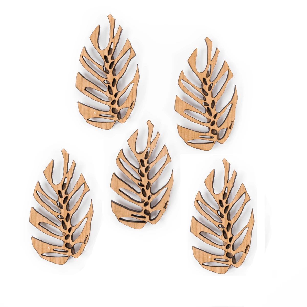 Monstrella - Wall Mounted Plant Support For Climbing Vines 15 Monstrella - Wall Mounted Plant Support For Climbing Vines - Image 13