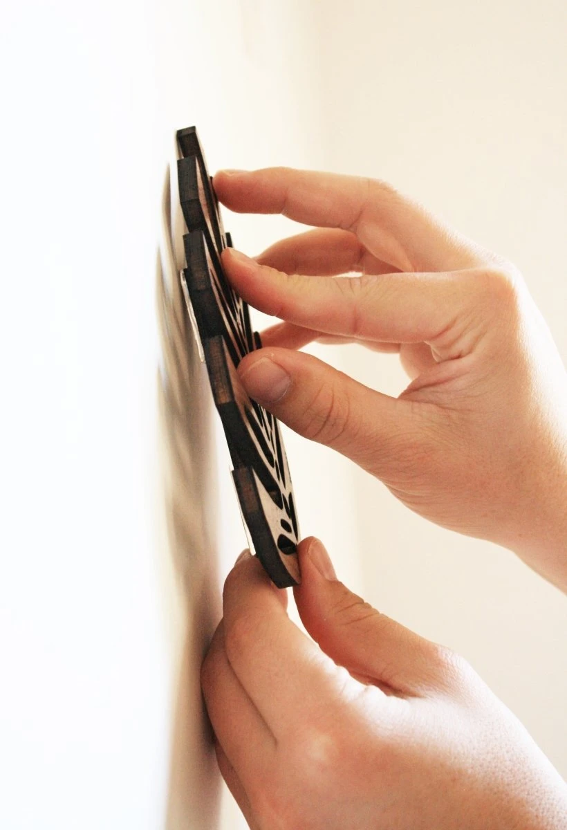 Monstrella - Wall Mounted Plant Support For Climbing Vines 13 Monstrella - Wall Mounted Plant Support For Climbing Vines - Image 11