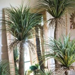 Moroccan Artificial Palm Tree In Pot | Handmade Silk Palm Tree For Indoor Decor -Ed's plant shop moroccan artificial palm tree in pot 122369