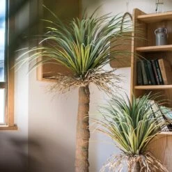 Moroccan Artificial Palm Tree In Pot | Handmade Silk Palm Tree For Indoor Decor -Ed's plant shop moroccan artificial palm tree in pot 416883