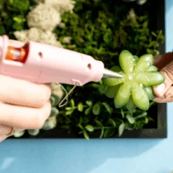 Moss Wall Kit -Ed's plant shop moss wall kit 291479